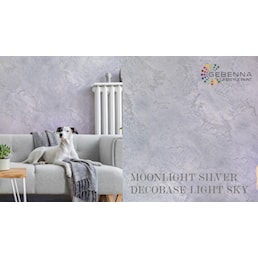 MOONLIGHT SILVER LIGHT SKY.jpg
